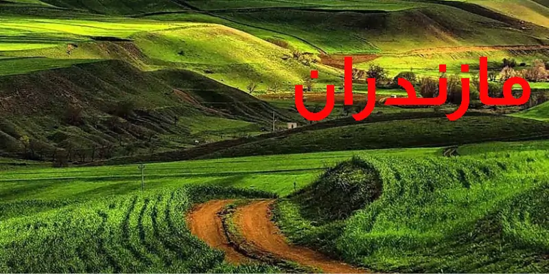 اثاث کشی مازندران
