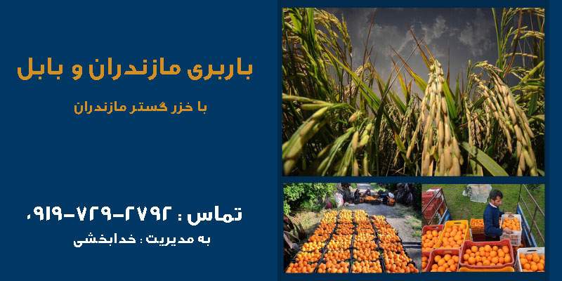 باربری و اثاث کشی منزل در بابل